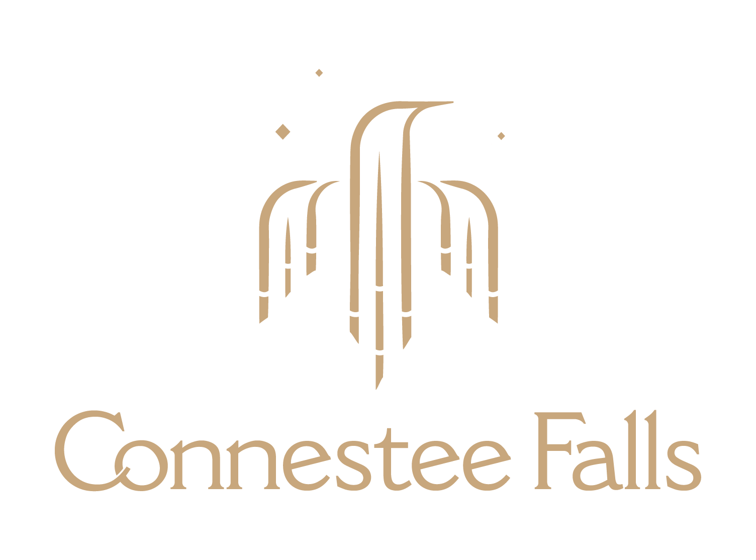 Connestee Falls community logo